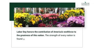Lafayette Florist, Gift Shop & Garden Center - Best Florist in Lafayette CO