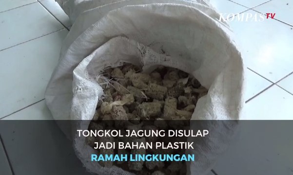 Tongkol Jagung Disulap Jadi Bahan Plastik Ramah Lingkungan