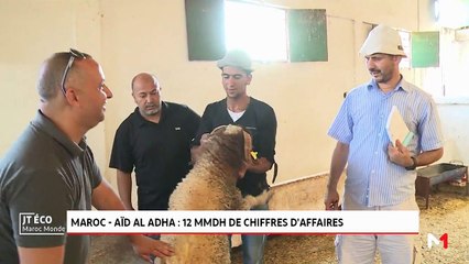 JT Economie - 13/08/2019