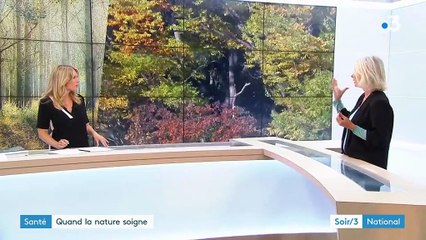 Cancers, maladies, stress... : 25 ans de recherche et 350 études prouvent que la nature soigne