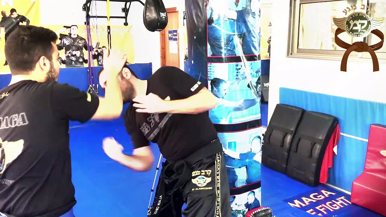 KRAV MAGA NEW DIGITAL WORLD - LEARN KRAV MAGA ONLINE AND GET CERTIFIED