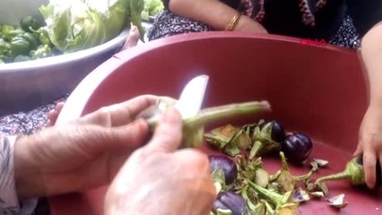 Osmaniye'de düğün yemeklerinin vazgeçilmezi sarma ve dolma