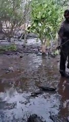 Inondations soudaines dans une ville au Mexique : tout le monde fuit !