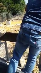 Il sauve un ours en jetant un arbre dans le trou avec sa grue !