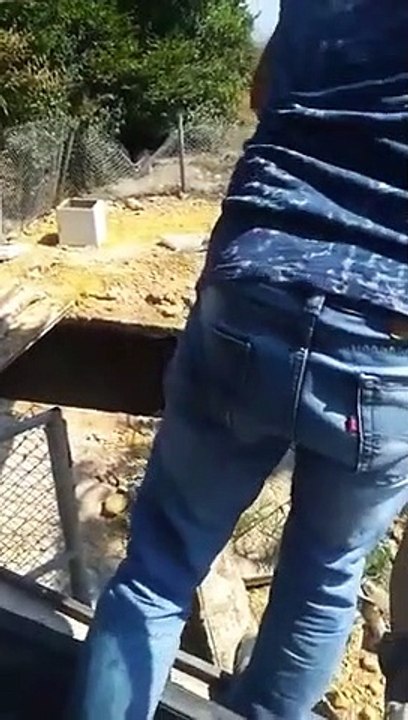 Il sauve un ours en jetant un arbre dans le trou avec sa grue !