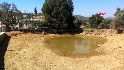 MUĞLA Göletteki canlılara can suyu