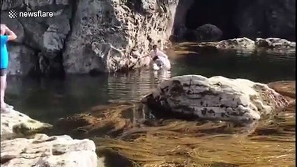 Cet ado sauve un mouton perdu dans la mer au bord d'une falaise !