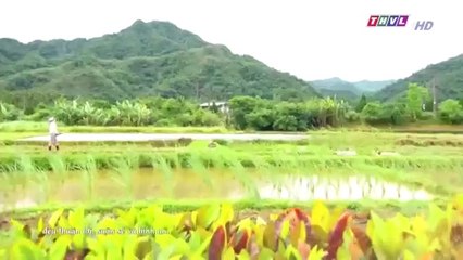 Đại Thời Đại Tập 137 - đại thời đại tập 138 - Phim Đài Loan - THVL1 Lồng Tiếng - Phim Dai Thoi Dai Tap 137