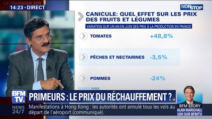 Comment le réchauffement climatique affecte les prix des fruits et légumes