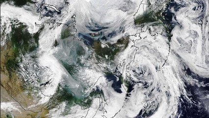 El humo de los incendios en Siberia ha cubierto una superficie mayor a la de la Unión Europea