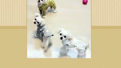 춘천출장안마 -후불1ØØ%ョØ7ØE7575E0054｛카톡GD825｝ 춘천전지역출장마사지 춘천오피걸 춘천출장안마 춘천출장마사지 춘천출장안마 춘천출장콜걸샵안마 춘천출장아로마 춘천출장≨㍎◞