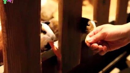진구출장안마 -후불1ØØ%ョO7OW5222W6739｛카톡CS69｝ 진구전지역출장마사지 진구오피걸 진구출장안마 진구출장마사지 진구출장안마  진구출장콜걸샵안마 진구출장아로마㌘ぐ㌖ 진구출장샵