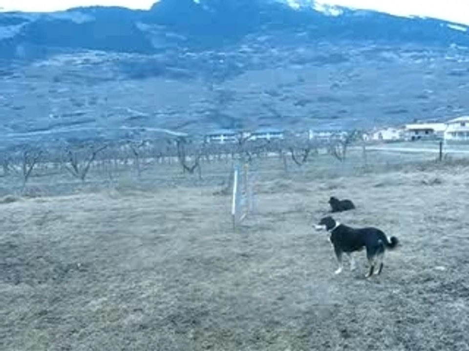MVI_2055