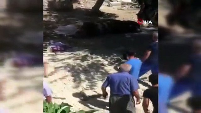 Kızgın boğa yanına kimseyi yaklaştırmadı