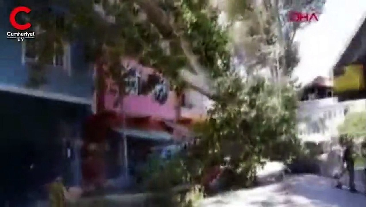 Beykoz'da büyük panik anları! Yurttaşlar hemen polisi aradı
