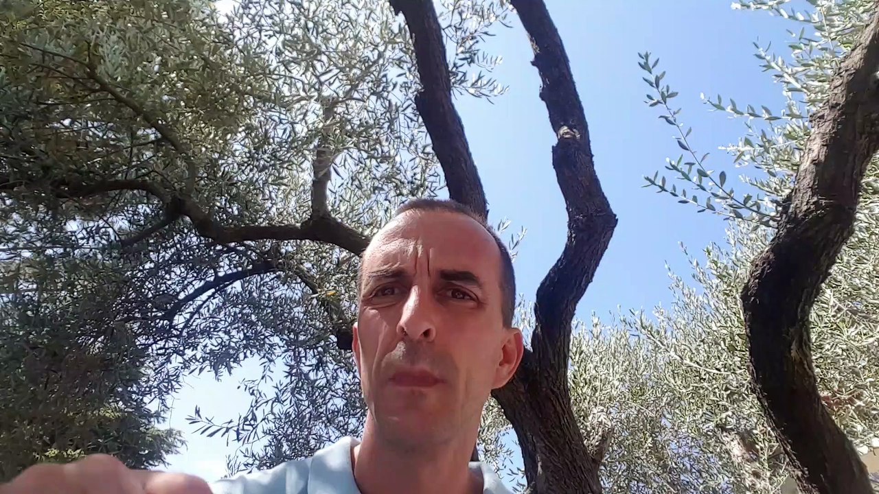 Pronostic Pmu Turf Quinte du mercredi 14 aout 2019