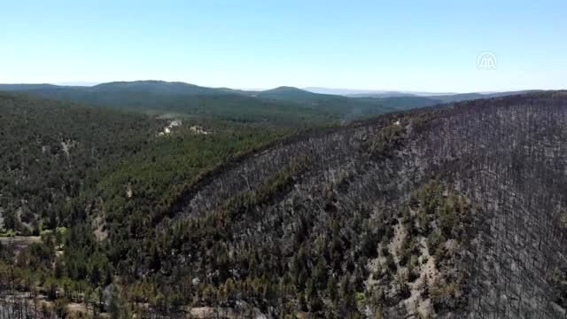 Tavşanlı'daki orman yangınında zarar gören bölge havadan görüntülendi