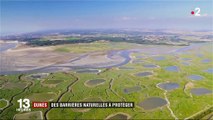 Picardie: la Baie de Somme, un trésor menacé