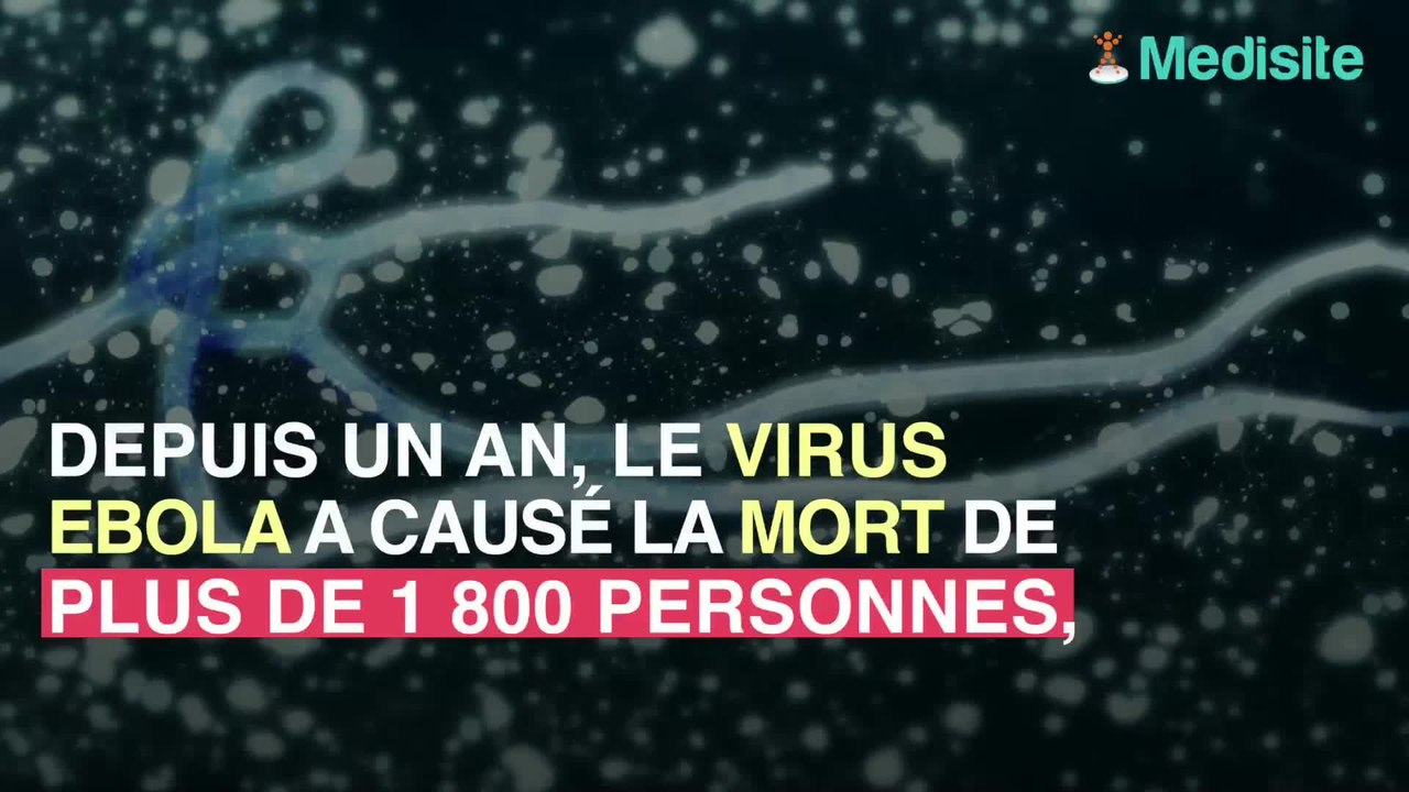 Ebola : deux traitements viennent de prouver leur efficacité