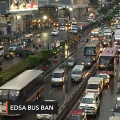 After provincial bus ban mess, senators want review of MMDA powers