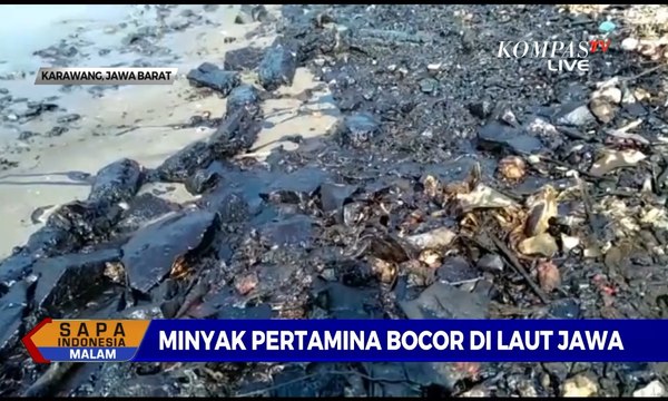 Bencana Minyak Pertamina Bocor, Pertamina: Kami Fokus Untuk Penanganan
