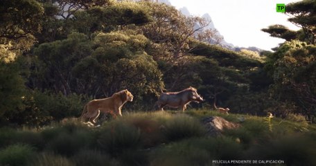 El rey león se convierte en la película más taquillera del año en España