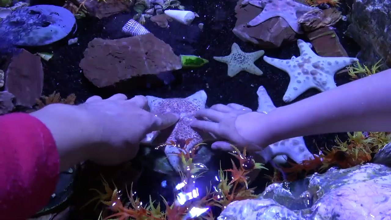 ALTON TOWERS • ÇA ENVOIE DU PÂTÉ ! Attractions TOP ! - Studio Bubble Tea