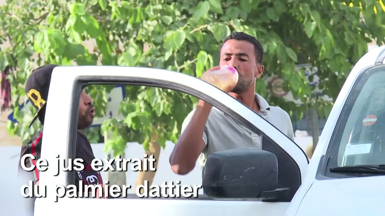 En Tunisie, les saveurs du legmi, fragile "cadeau" du palmier dattier
