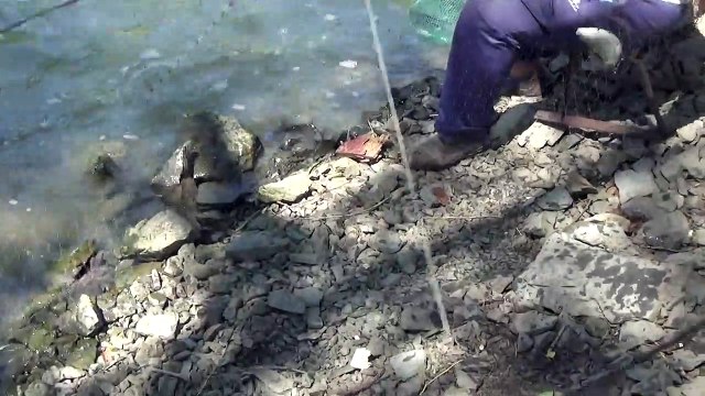 ловля карася снасть ПАУК the carp fishing tackle SPIDER