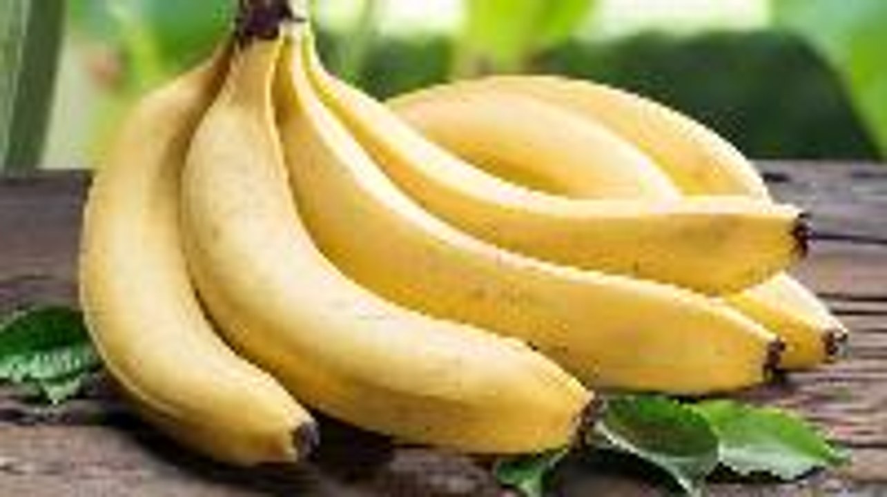 Deadly Fungus Drives Bananas Closer to Extinction