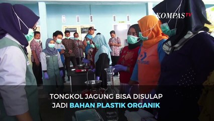Begini Tongol Jagung diubah Jadi Plastik Ramah Lingkungan