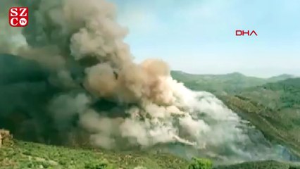 İzmir Bayındır'da yangın!