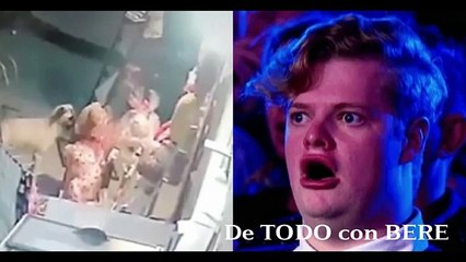 Este PERRO se ROBO un OSO con VALOR de $500 En TIENDA de REGALOS en PUEBLA