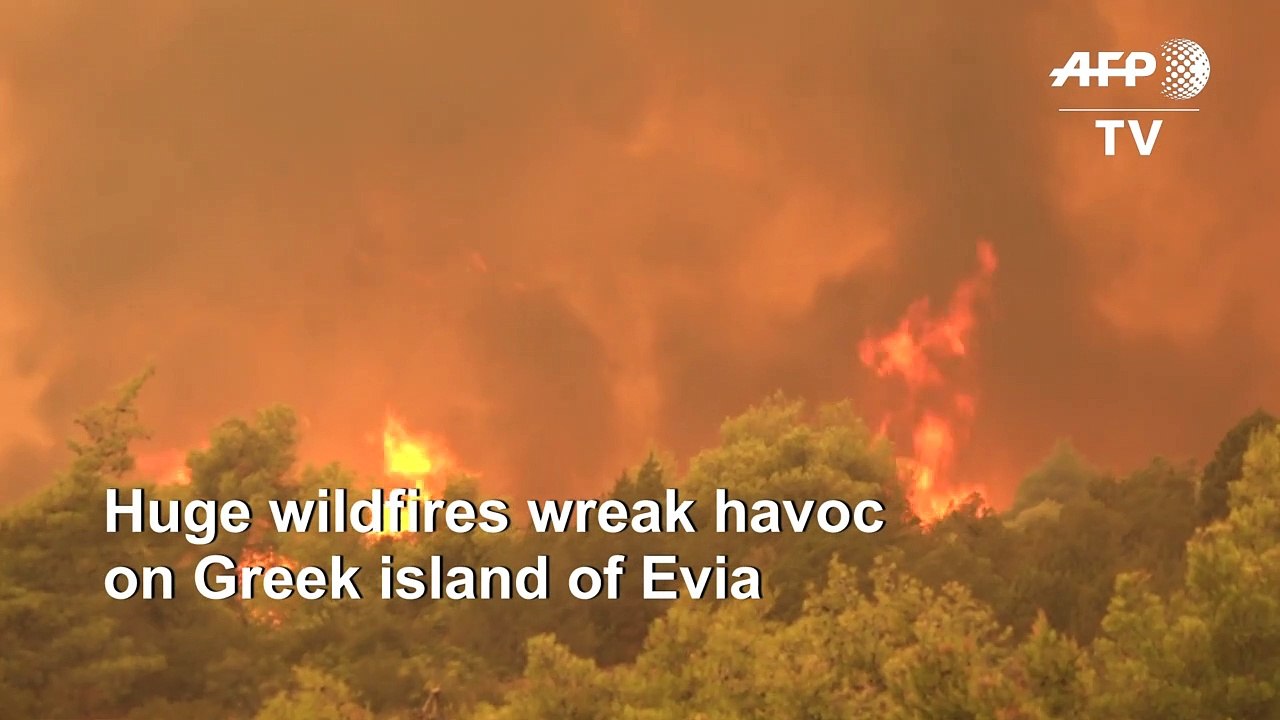 Wildfires sweep across Greek island of Evia