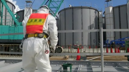 외교부 "후쿠시마 오염수 방출에 적극 대응" / YTN