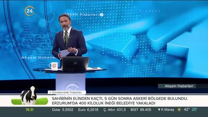 Wonderland bayramın gözdesi