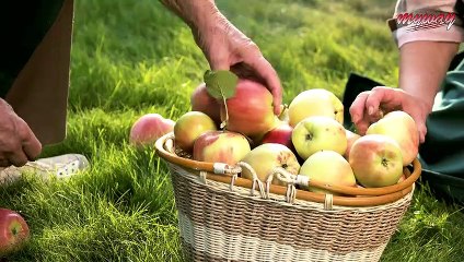 2030 সালে কাশ্মীর অর্থনৈতিক দিক থেকে কতটা উন্নত হবে || KASHMIR IN 2030