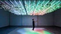 This immersive exhibit uses your senses to change its reality — Future Blink