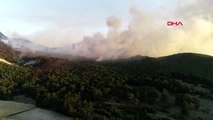 Eskişehir Seyitgazi ilçesinde orman yangını - 3