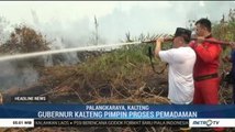 Lahan Perkebunan Dekat Bandara Tjilik Riwut Palangkaraya Terbakar