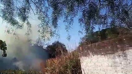 Incêndio ambiental se alastra no Bairro Floresta, em Cascavel