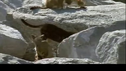 문막출장안마 -후불1ØØ%ョO7OW5222W6739｛카톡LA666｝ 문막전지역출장마사지 문막오피걸 문막출장안마 문막출장마사지 문막출장안마 문막출장콜걸샵안마 문막출장아로마 문막출장㌢∞は