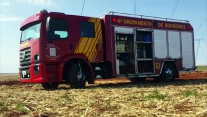 Área onde milho já havia sido colhido é tomada por incêndio na PR-486