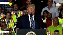 Trump Mocks Wind Energy: 'Darling, I Want To Watch Donald Trump Tonight...But The Wind Stopped Blowing'