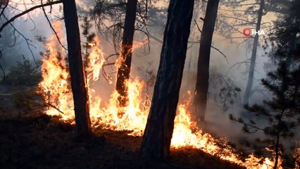 Seyitgazi'deki yangını söndürme çalışmalarına gençler kürekler ile destek oluyor