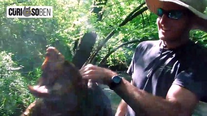 10 Animales Aterradores Encontrados En Ríos ( 720 X 1280 )