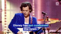 Harry Styles Reportedly Cast as Prince Eric in ‘The Little Mermaid’