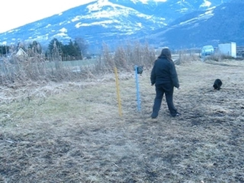 MVI_2056