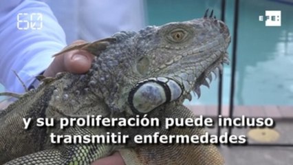 América al día en 60 segundos: martes 13 de agosto