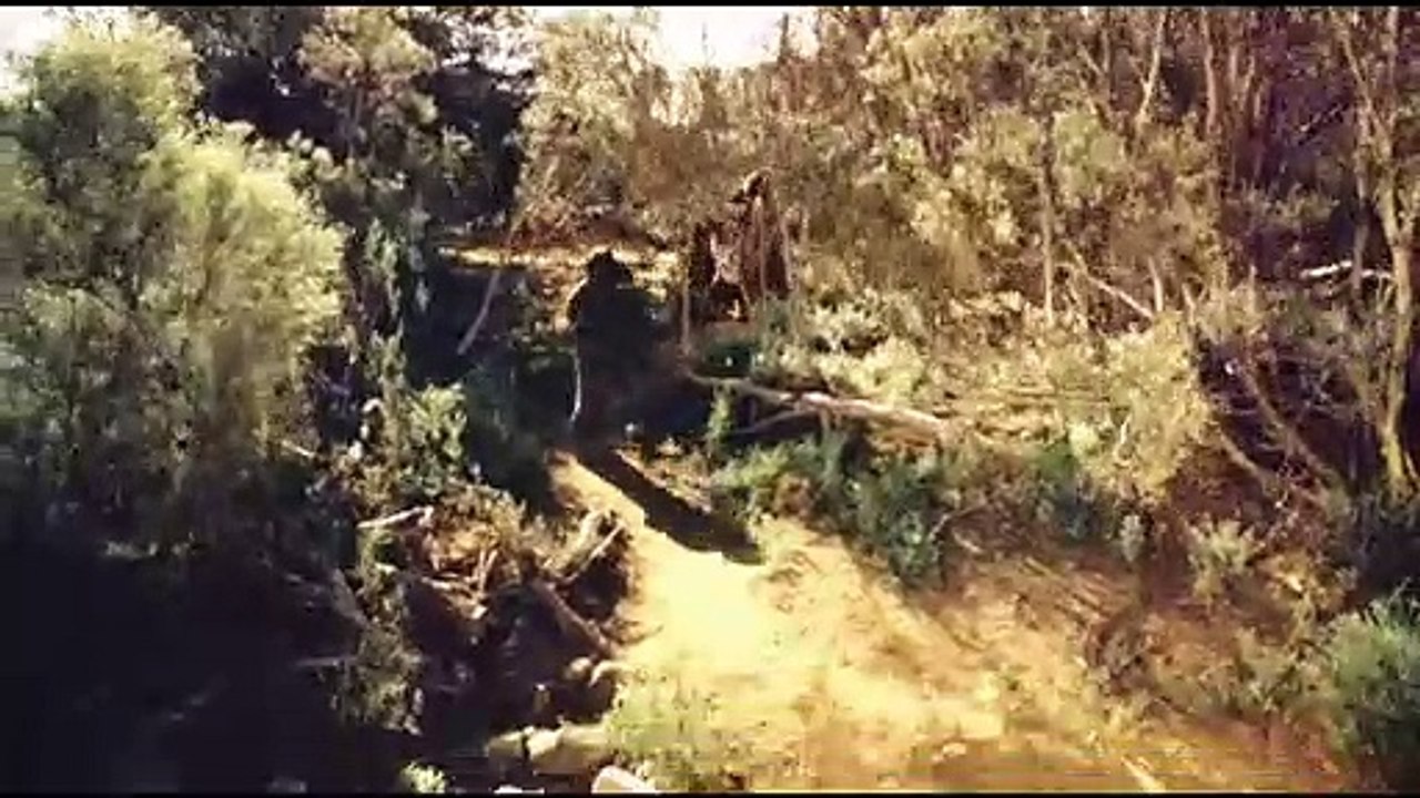 Rabbit-Proof Fence (30 min)
